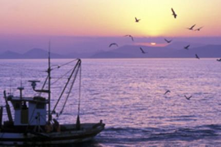 Hidden Beauties of Argo - Saronic Gulf
